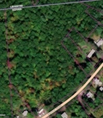 1172 Stafford St photo 5