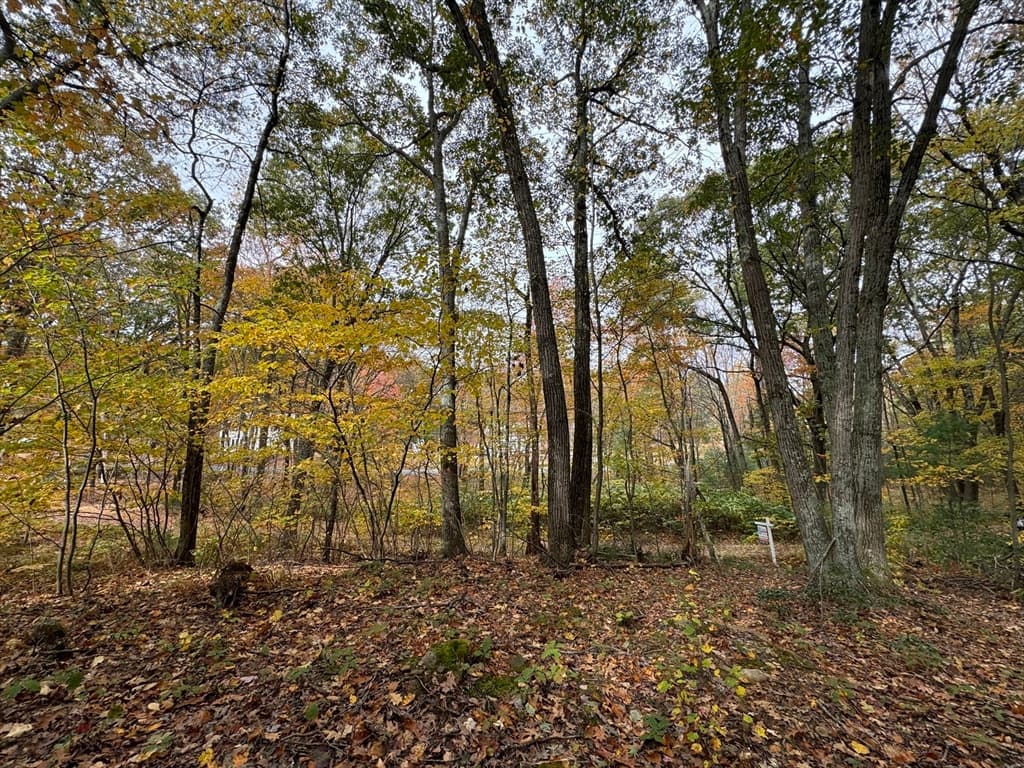 60 Monson Rd photo 3