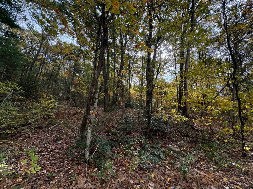 60 Monson Rd photo 5