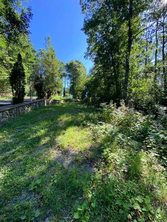 87 Burlingame Rd photo 5