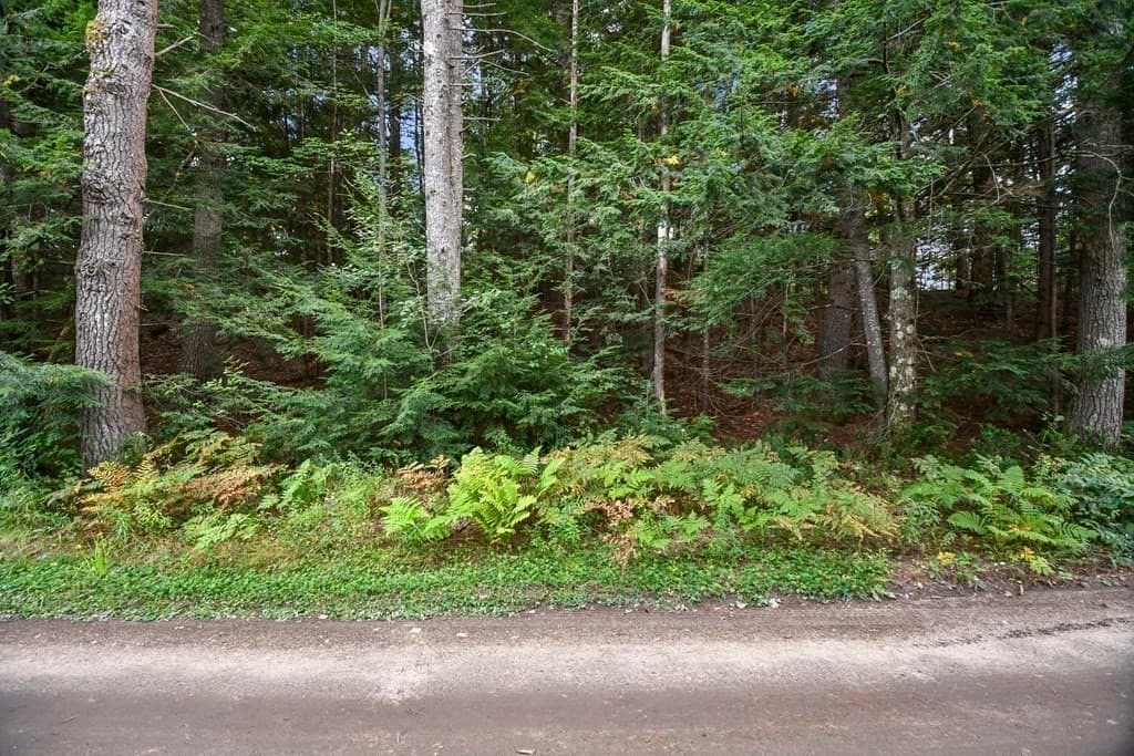 1 Royalston Rd photo 5