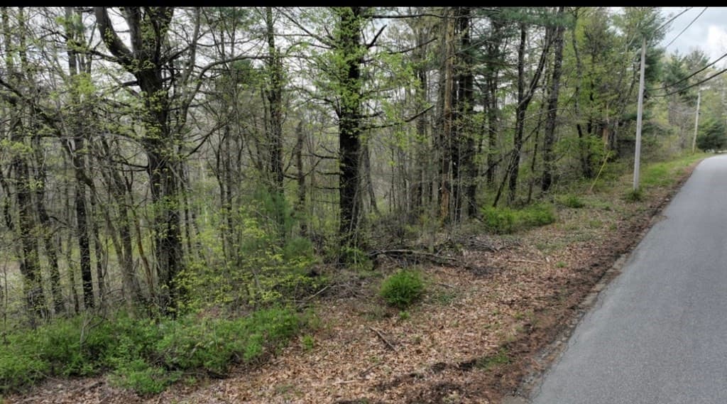 0 Woodhill Rd photo 2
