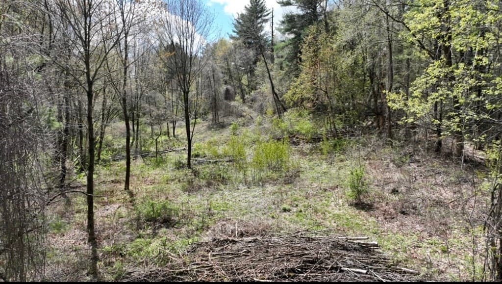 0 Woodhill Rd photo 3