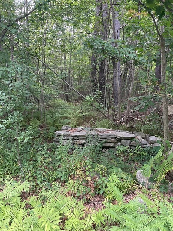 0 Russell Stage Rd photo 2