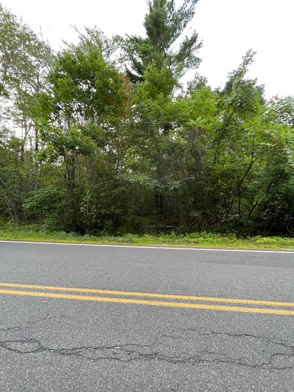 0 Russell Stage Rd photo 3