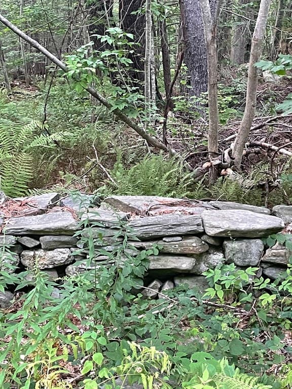 0 Russell Stage Rd photo 5