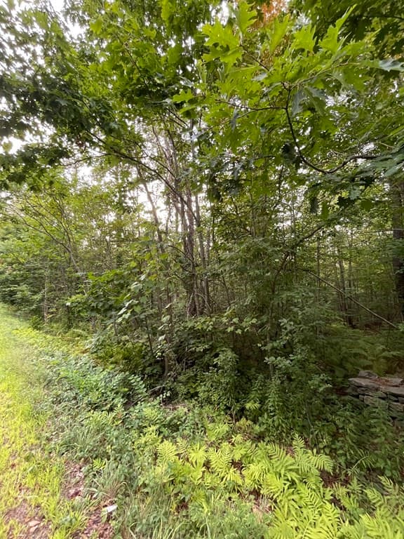 0 Russell Stage Rd photo 4