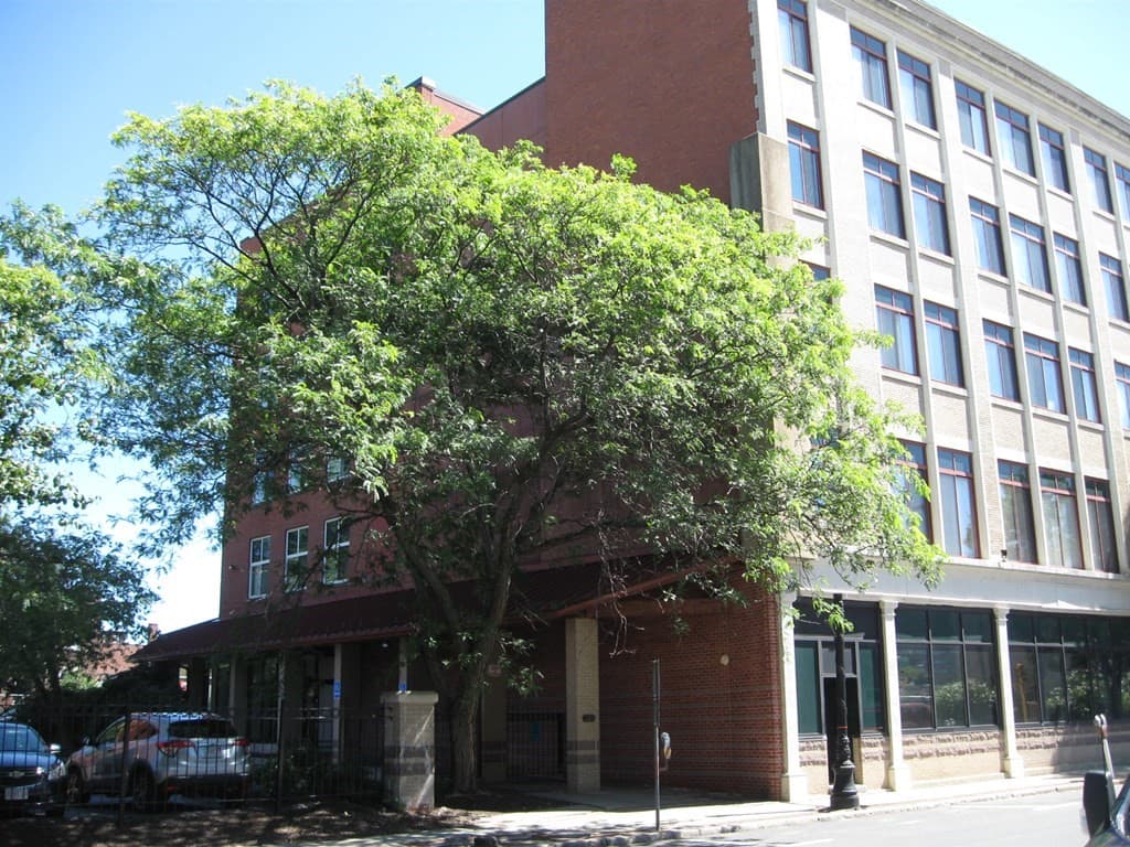 191 Chestnut Street photo 5