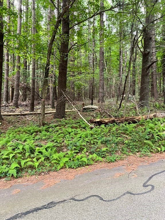 34 - Lot F South Rd photo 3