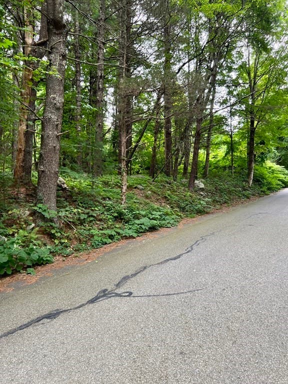 34 - Lot F South Rd photo 5