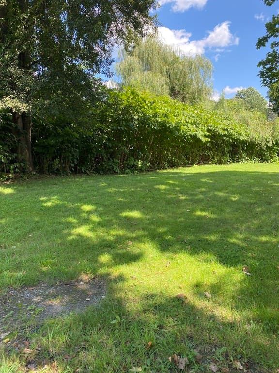 0 Morris St (Lots 81, 82, 83) photo 2