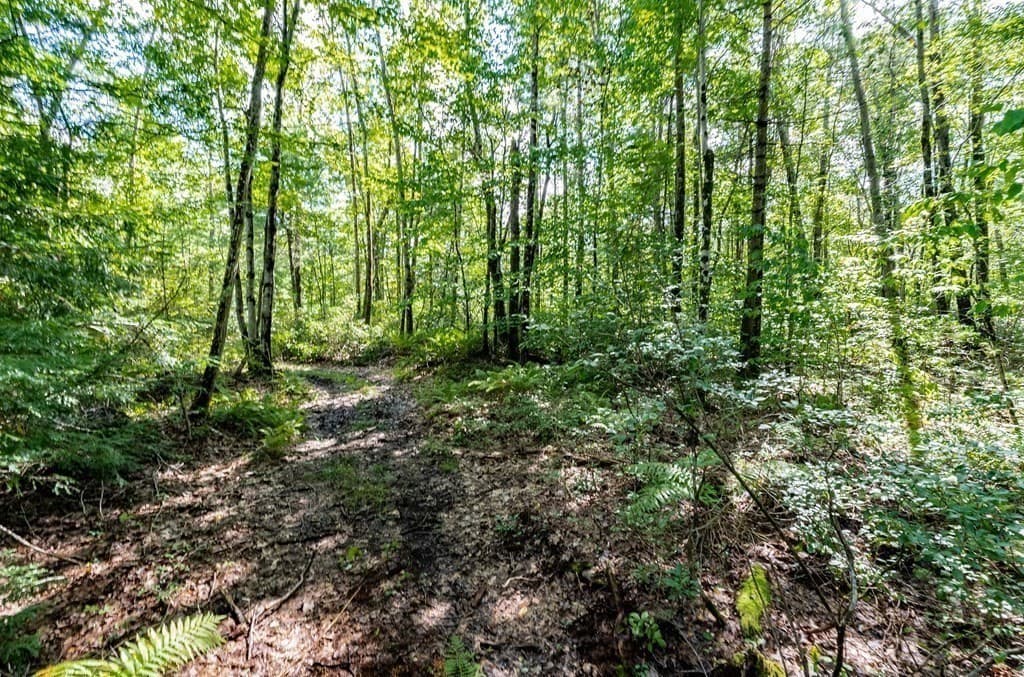 55 Otis-Tolland Rd, Lot 1
