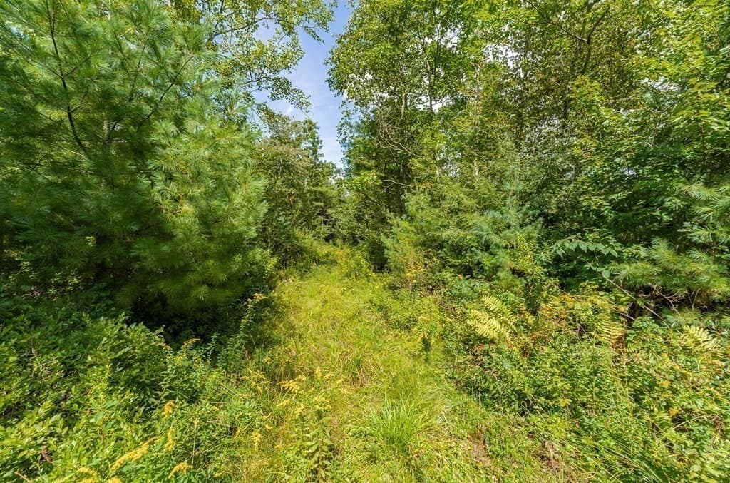 55 Otis-Tolland Rd, Lot 1 photo 5