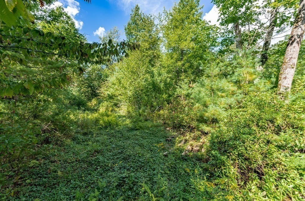 55 Otis-Tolland Rd, Lot 1 photo 4