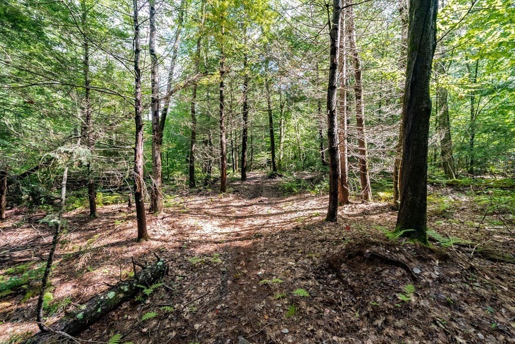 55 Otis-Tolland Rd, Lot 2