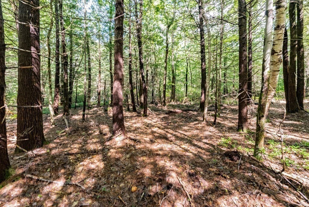 55 Otis-Tolland Rd, Lot 2 photo 5