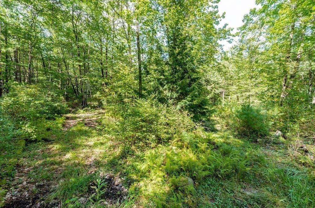 55 Otis-Tolland Rd, Lot 2 photo 4