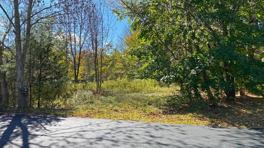 Lot 2 Cedar St