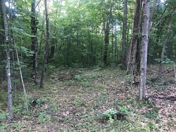 0 Lower Road photo 5