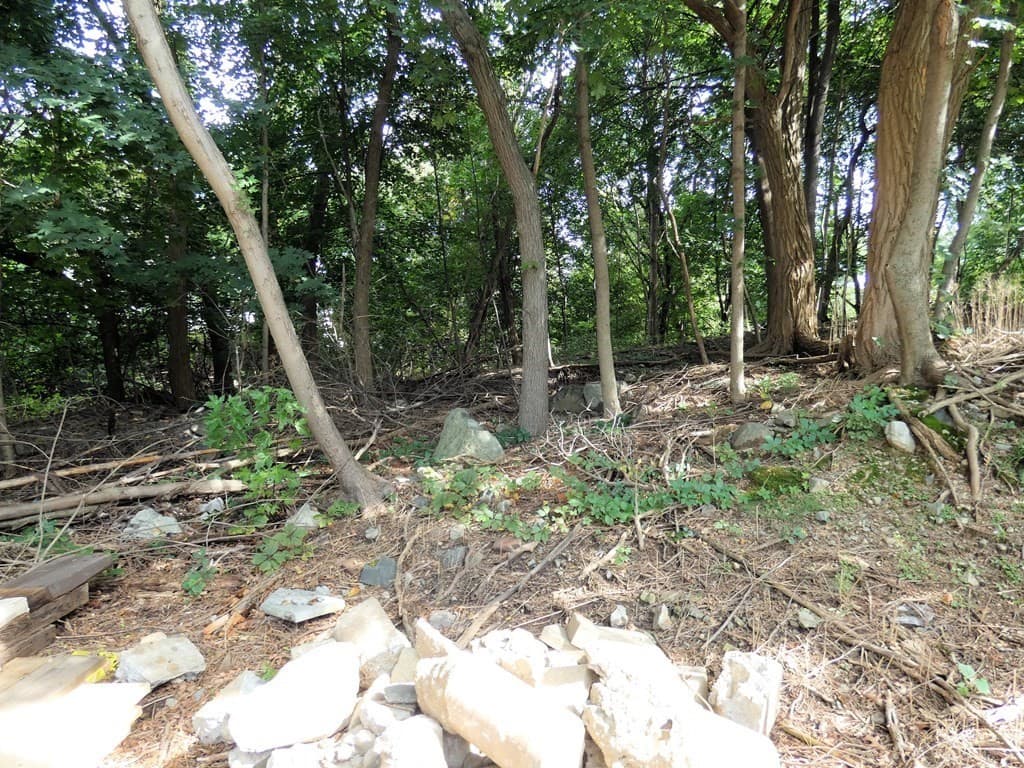 104 Pond St photo 2