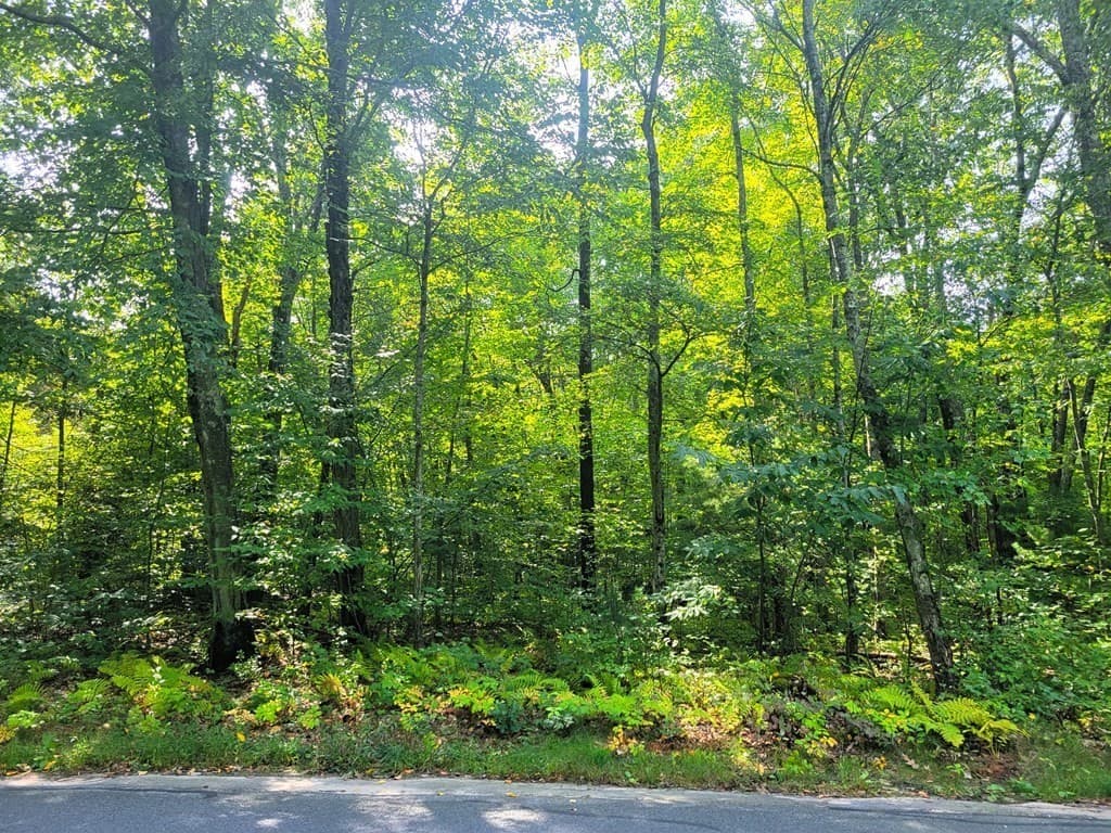 Lot 75-25 Paradise Lake Rd