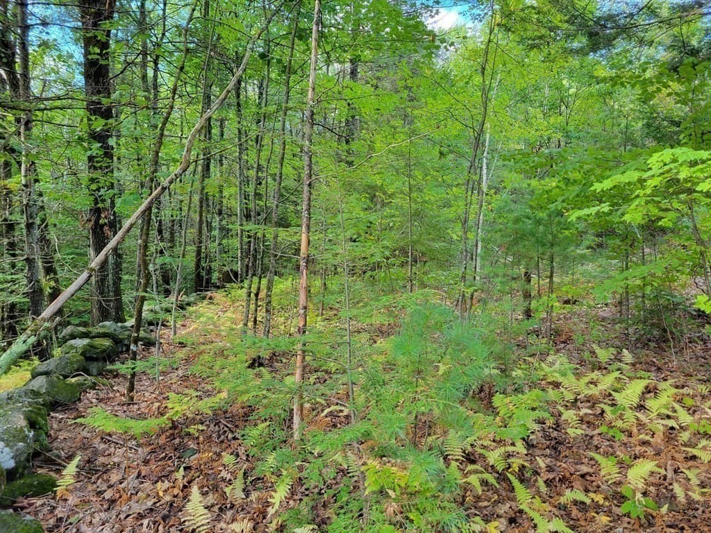 Lot-6 Doyle Avenue