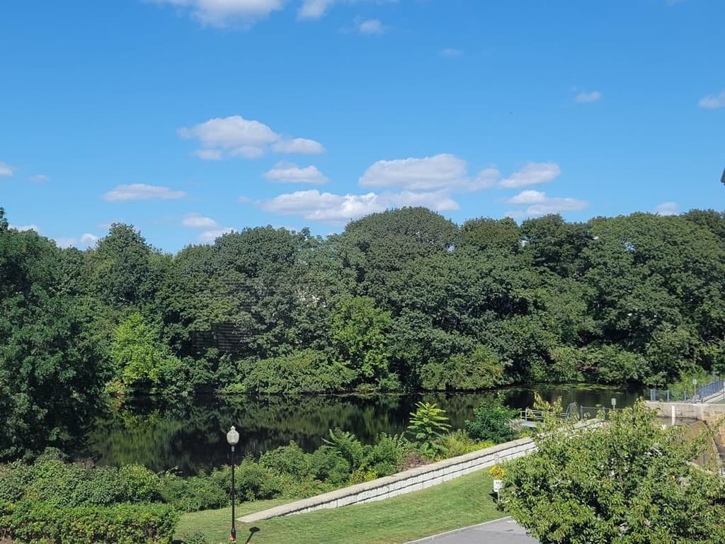 90 Milton Street photo 5