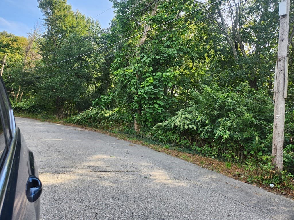0.0 Howard Ave photo 3