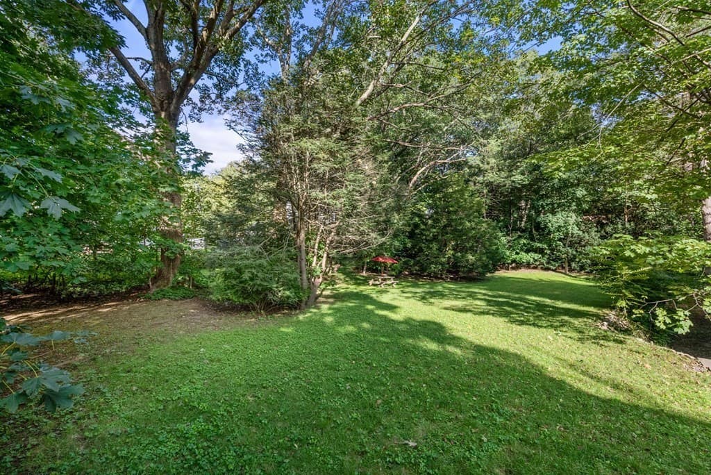 0 Lexington (Rear) photo 2