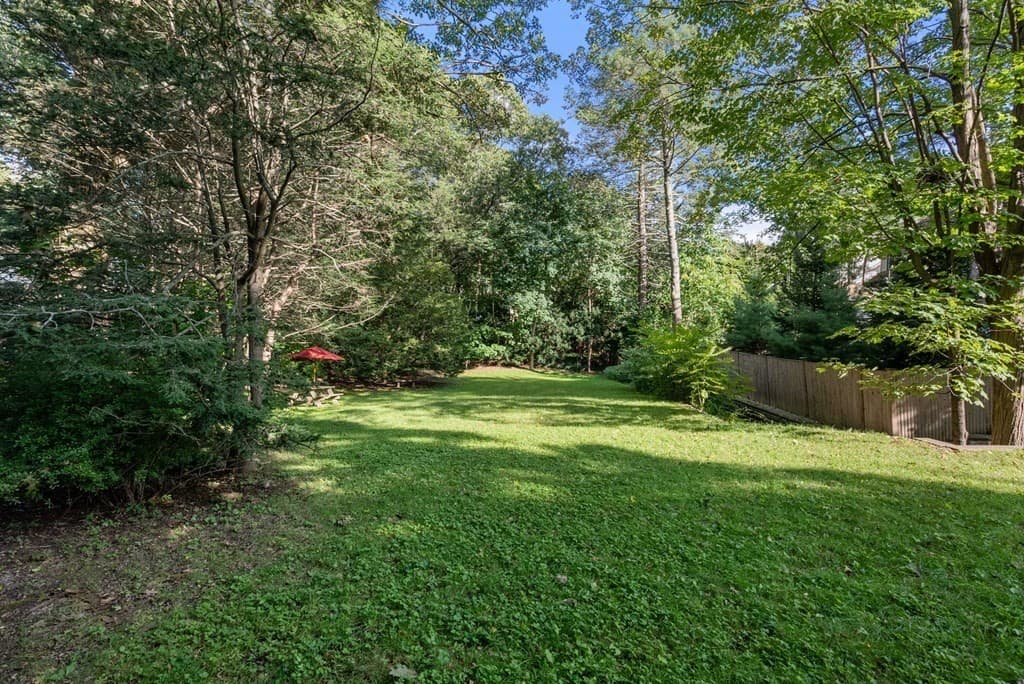 0 Lexington (Rear) photo 4
