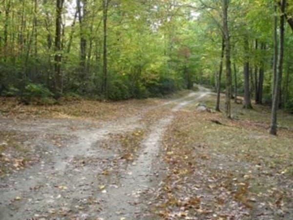 34 Southampton Rd photo 3