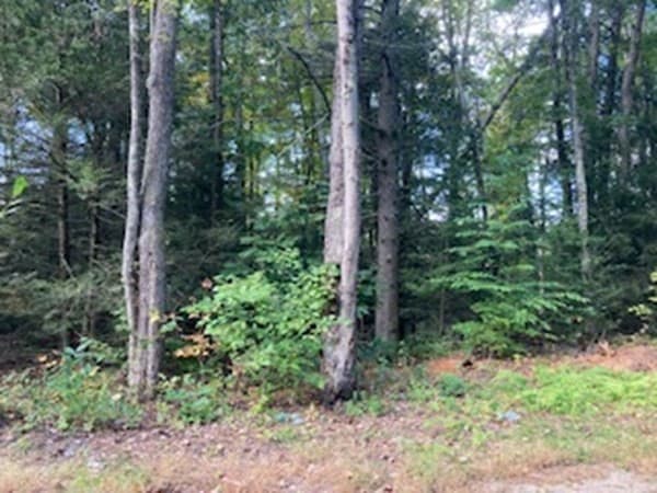 LOT 1 Carver