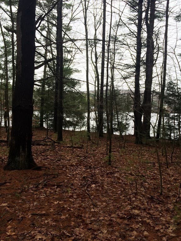 Lots 3 & 4 Mashapaug Rd photo 3