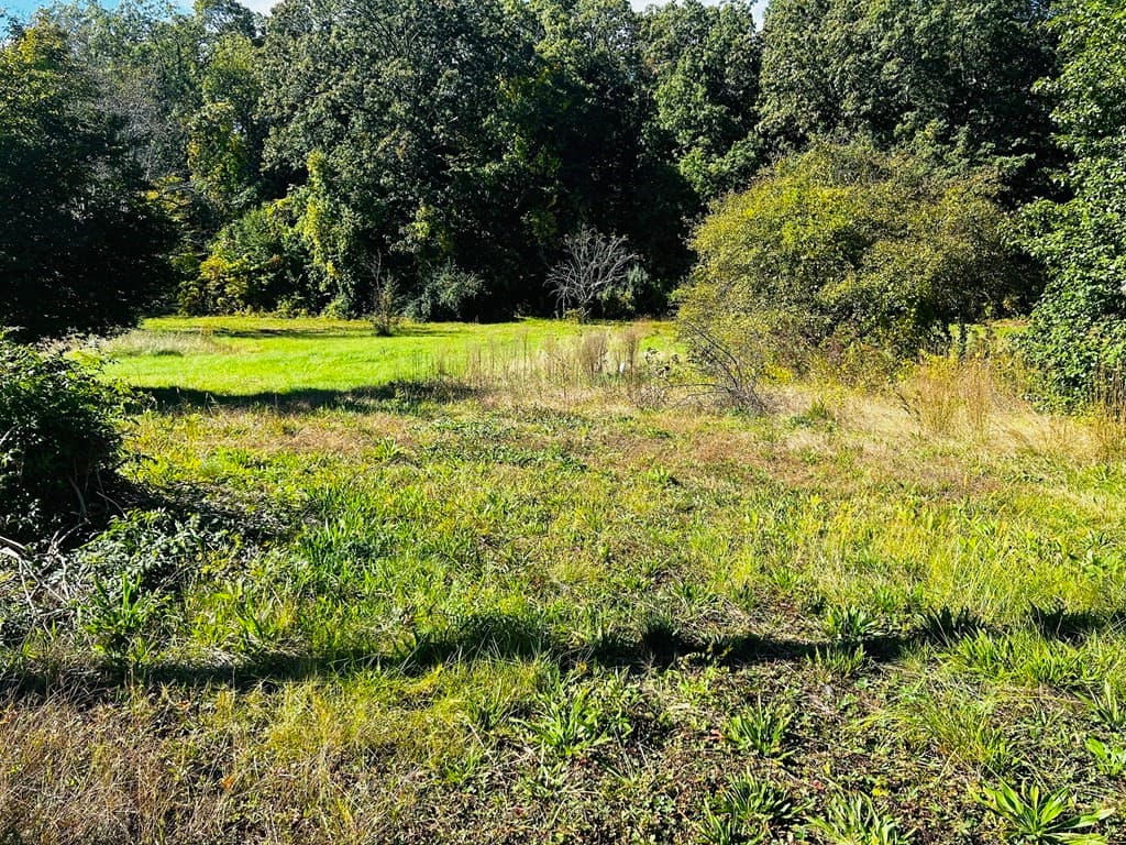 1342 lot 5 East Mountain photo 2