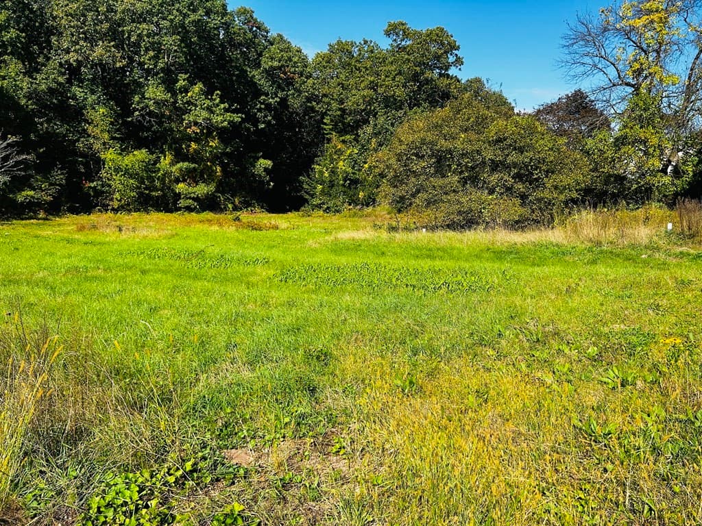 1342 lot 5 East Mountain