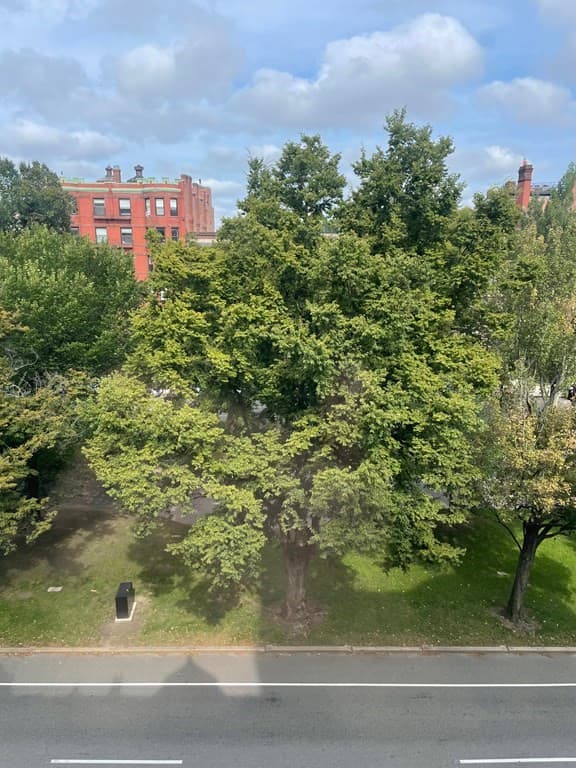 294 Commonwealth Ave #PH photo 4