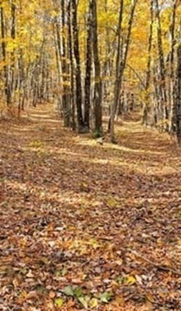 57-81 Purgatory Road photo 2