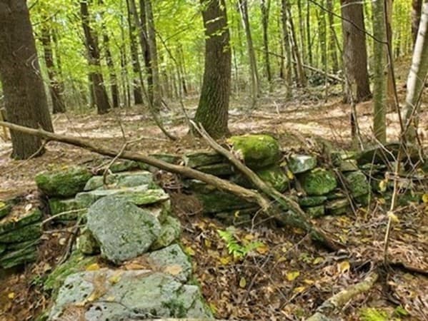 57-81 Purgatory Road photo 3