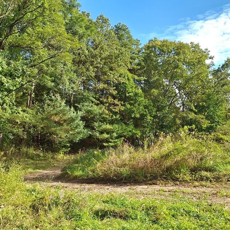 Lot 4 Mountain Rd photo 2