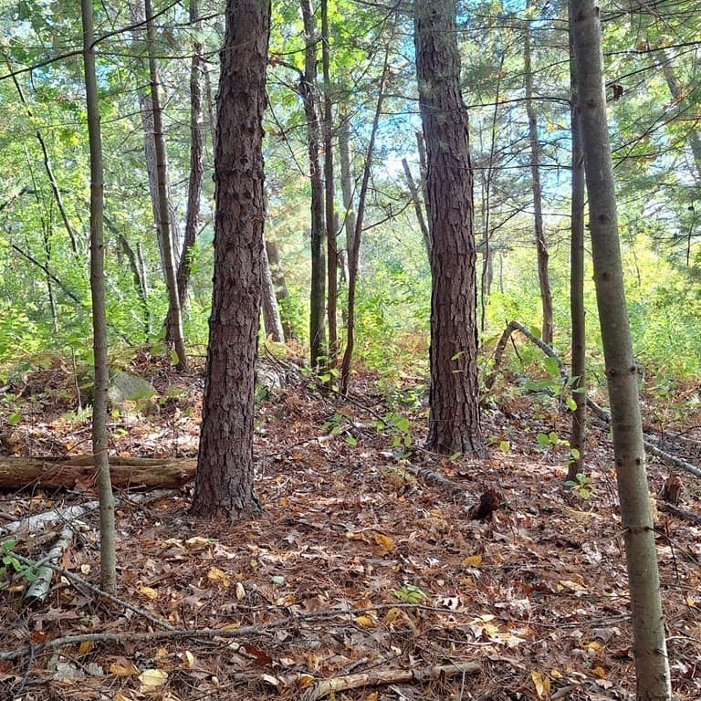 Lot 4 Mountain Rd photo 3