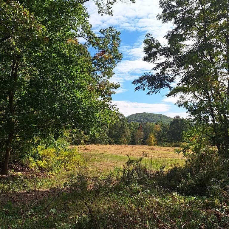 Lot 4 Mountain Rd