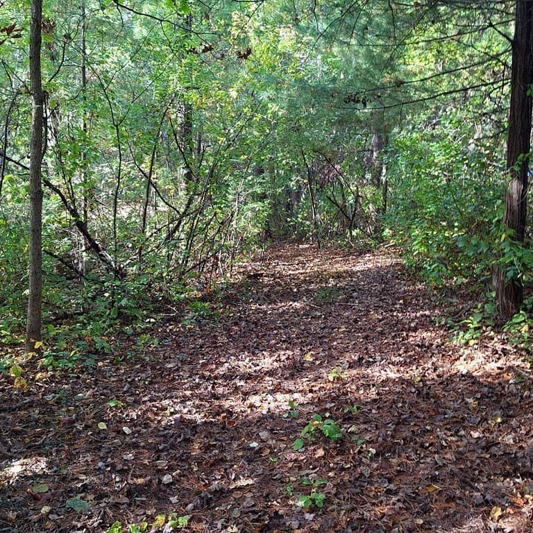 Lot 4 Mountain Rd photo 4