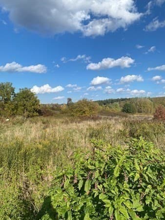 27 Hollow Road photo 3