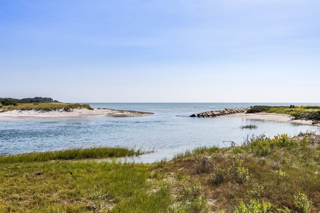 251 Green Dunes photo 4