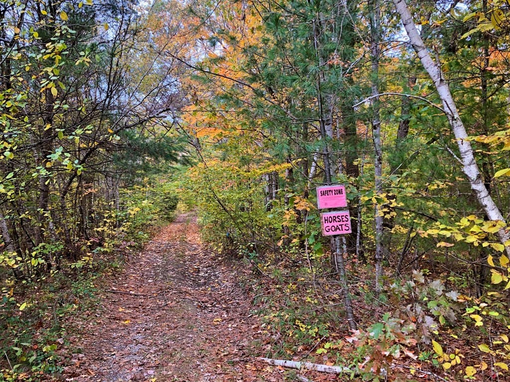 0 Brush Valley Rd photo 2