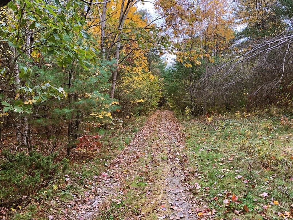 0 Brush Valley Rd