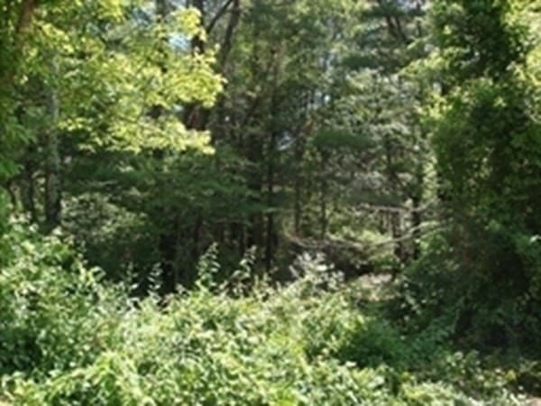 425 Wareham Street photo 2