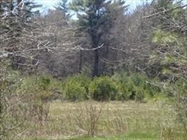 425 Wareham Street photo 3
