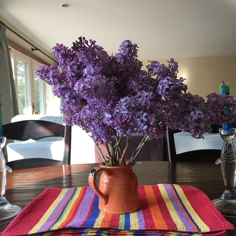 27 Beach Plum Lane photo 4