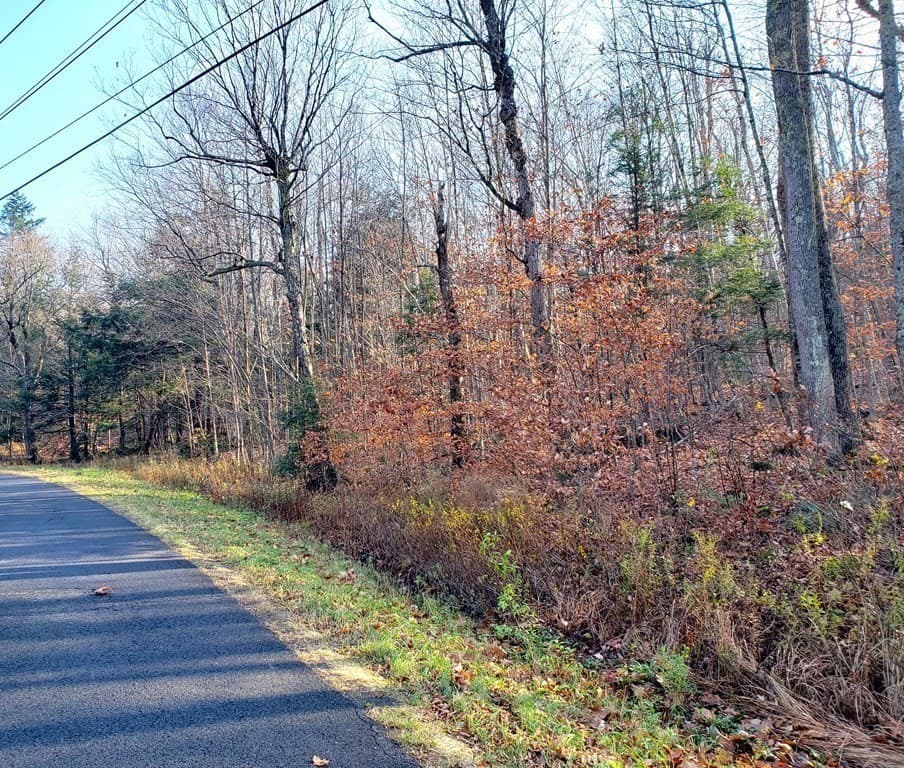 0 North Blandford Rd photo 3